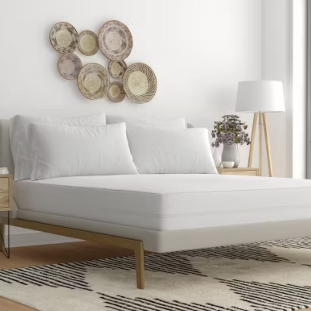 Plastic Queen mattress protector with zipper